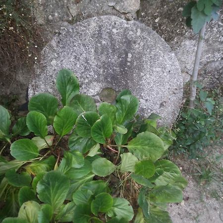 Estrebuela House Bed & Breakfast Paredes  Bagian luar foto