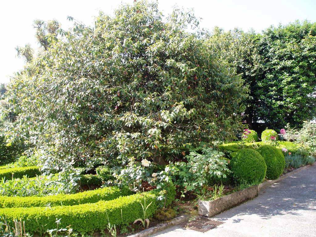 Estrebuela House Bed & Breakfast Paredes  Bagian luar foto